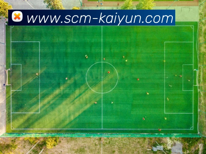 多媒体互动体验